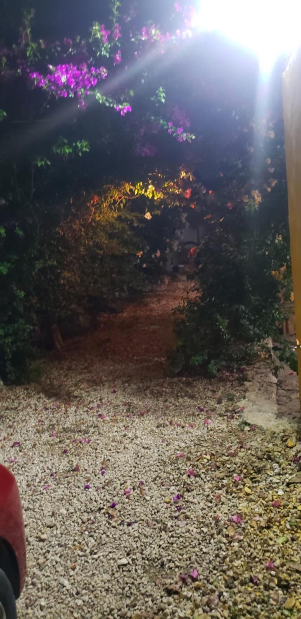 Casa "Los Jarochos" 2 Valladolid  Zewnętrze zdjęcie